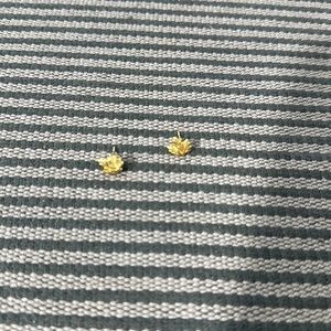 Stealing agent Canada earring